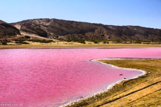 Lipar Pink Lake           